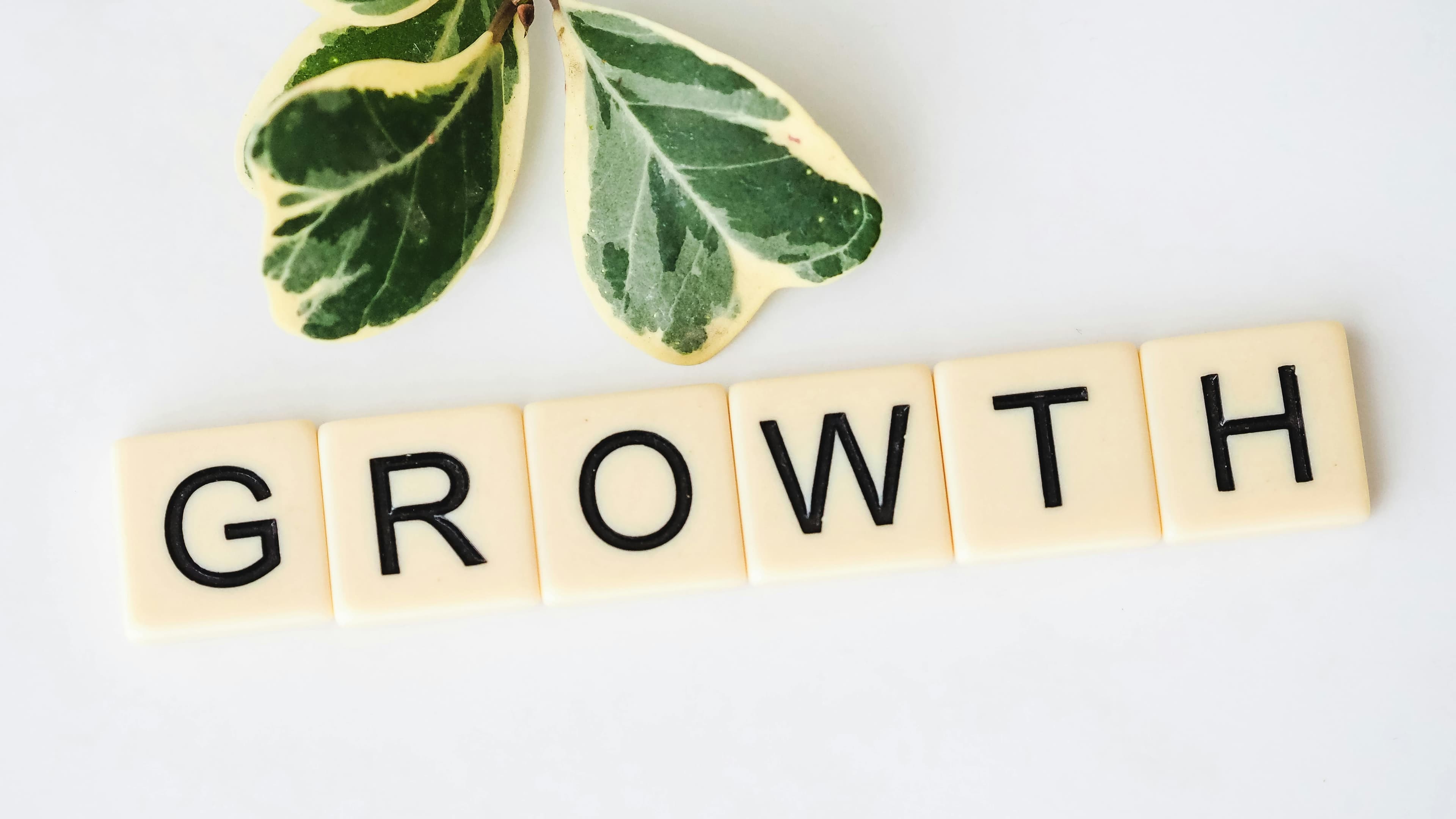 How to Build a Website That Actually Drives Growth in San Antonio